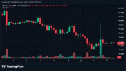 Bitcoin Price Takes a $3,215 Ride Just to Land Back at $77K